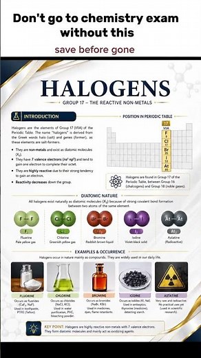 🧪 Halogens Explained in One Shot #chemistry #education #shorts #viral #trending #subscribe #fyp