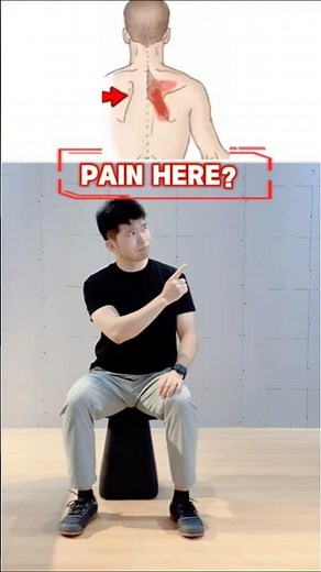1 Minute Seated Rhomboid Stretch | Relieve Shoulder Blade & Upper Back Stiffness #backmobility