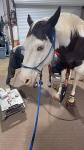 220K views · 10K reactions | Testing in progress Becker Equine | From Suits to Boots | Facebook