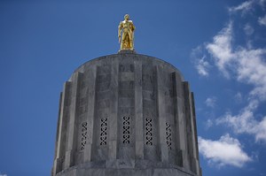 New Oregon law ensures medical decisions can be made for adults with developmental disabilities