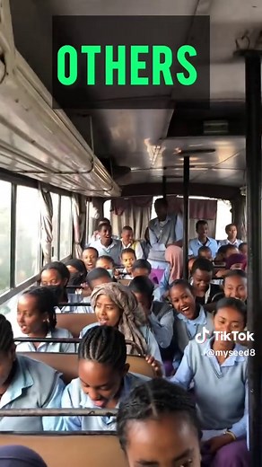 My seed (@myseed8)’s videos with original sound - My seed