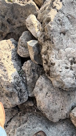 Flathead Catfish Release Techniques for Texas Fishing