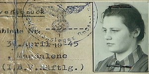 Purple Triangles—The Kusserow Family During the Nazi Regime