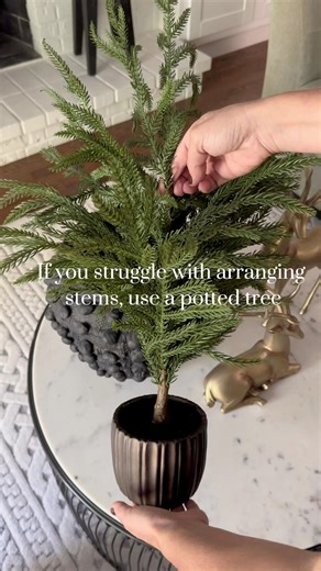 Christmas decorating made easy! If you struggle with arranging stems try using a potted tree or plant. In just seconds you have a completed look. No muss, no fuss. Comment TREE for the link. #christmas #christmasideas #christmasiscoming #walmarthome #designerlooksforless #boujeeonabudget #affordablehomedecor #potterybarnstyle #homeswithpurpose | Simply Staged and Styled