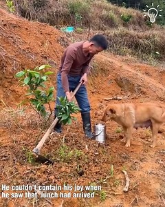 574K views · 1.9K reactions | Dog brings lunchbox to owner!❤️ | Pretty Hairstyles | Facebook