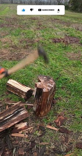 New Camera Angle! 🎥 One Strike Splits Beech Log + The Final Stubborn Piece