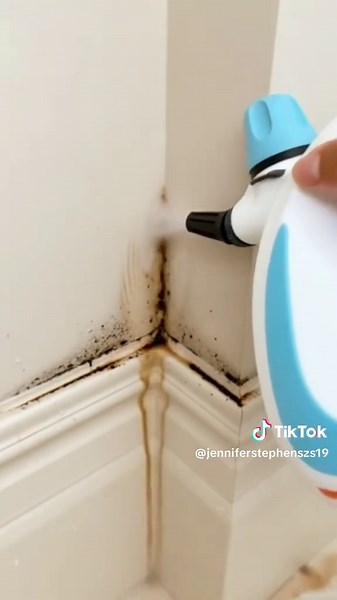 Steam Cleaning Tips for a Spotless Home