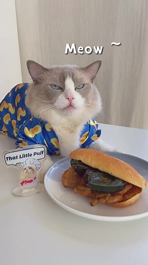 Discover the Secret Behind That Little Puff Egg Surprise