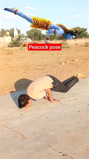 peacock pose 🕉🔥 #yoga #shorts #ytshorts #trending