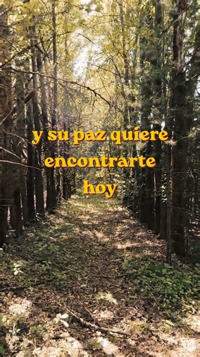 No es casualidad 🙏Dios quiere darte paz #paz #ambientedegracia #boleroscristianos #music