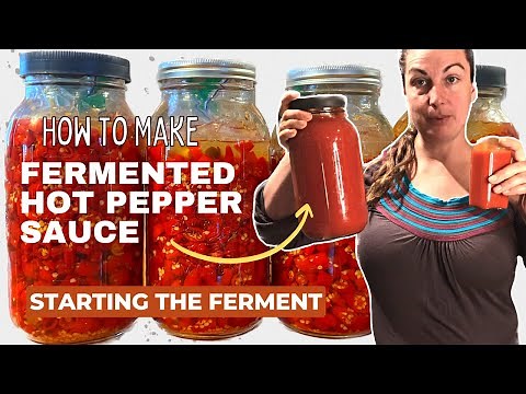 Homemade Hot Sauce How To Start Fermenting Peppers