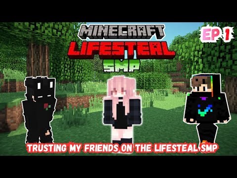 We Formed TEAMS on the Lifesteal SMP and it Got Messy! EP 1 - Minecraft #lifestealsmp #lifesteal