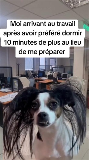 Moi à chaque matin... 😫💼🏢 #travail #memetravail #emploi #drôle