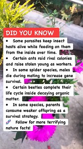 🧬 Parasite Facts That Are Terrifying 🧬 #NatureFacts #DidYouKnow #Science | Math & Puzzle