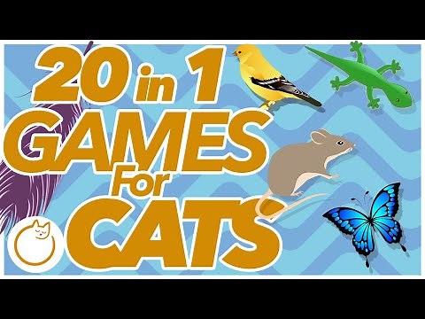 GAMES for CATS - 20 Boredom Busting Sensory Videos in 1 🐱