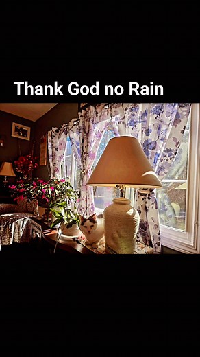 #newengladweather | Emily Swan | Facebook