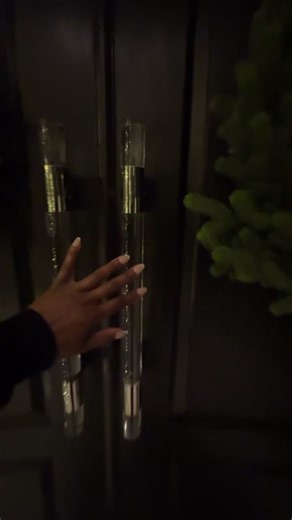 The Grand Finale: Luxe All-Black Christmas Tree Elegance