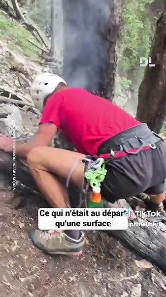L’incendie s’est probablement déclaré le mercredi 15 juillet, après un impact de foudre. Mais, lorsque Arsenii Novikov et Antonin Louvat, deux alpinistes expérimentés, se rendent au rocher Touard, à Freissinières, le 18 juillet en fin d’après-midi pour grimper une grande voie d’escalade, ils tombent sur des flammes au pied de deux arbres. Les pompiers contactés, ils ont tenté d’éteindre les flammes avec ce qu’ils avaient sous la main. #sinformersurtiktok #incendie #ecrins #hautesalpes