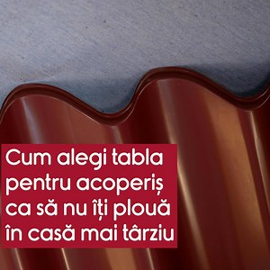 6.7K views · 70 reactions | Așteptam de vreo 3 ani o reîntâlnire cu...