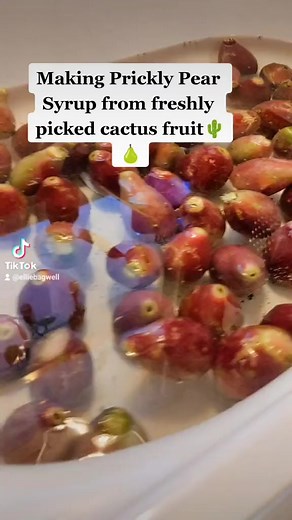 7.4K views · 177 reactions | How to make Prickly pear syrup  #pricklypear #diysyrup #simplesyrup #pricklypearcactus #diyfood #eatnativeplants | Ellie Bagwell | Facebook