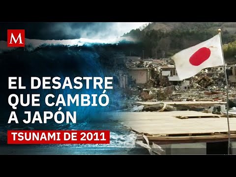 The 2011 tragedy in Japan: this is how the country's most devastating tsunami was experienced