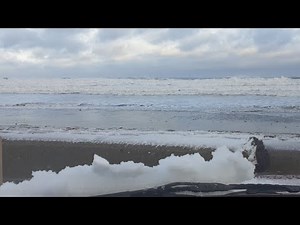 metal detecting ocean beaches