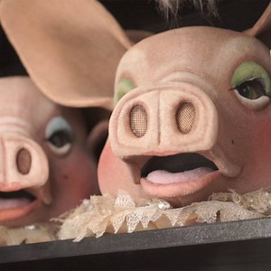 156K views · 253 reactions | "It's our dream to be a nice clown."...