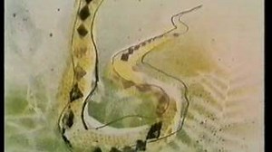 Keith Michell - Captain Beaky - Top Of The Pops - Thursday 31st January 1980 Chords - ChordU