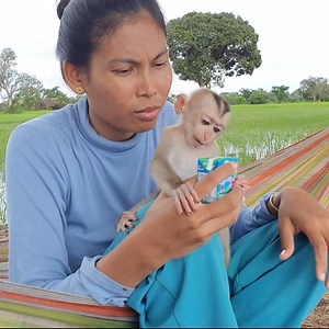 Oh baby monkey can not drink milk with bottle | Monkey Mean Mean