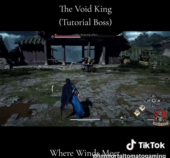The Void King Guide: Tips for Where Winds Meet
