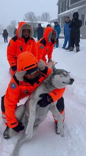 Caught on Camera: Incredible Rescue During Heavy Snowfall #Rescue #RealRescue #RescueTeam #Emergency