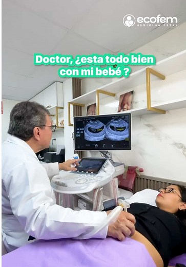 Embarazo Gemelar No Evolutivo: Un Caso Clínico