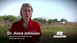 71K views · 114 reactions | Have livestock care questions? Iowa Farm Animal Care has answers! | Iowa Farm Bureau | Facebook