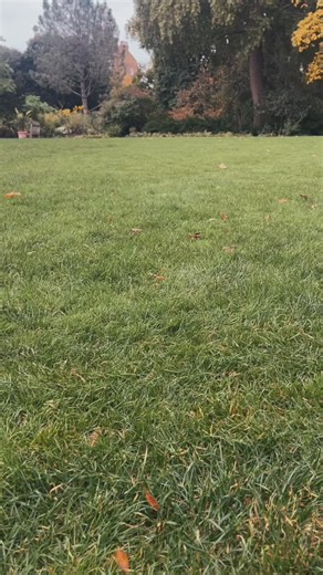 HAPPY HALLOWEEN! 🎃 Blade Runner the robot lawnmower is feeling pretty witchy this time of year… 🔮 | Chelsea Physic Garden
