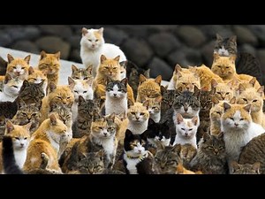 Bizarre Places In The World