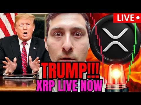 XRP PRICE WATCH! TRUMP NEWS WINNING LIVE!!