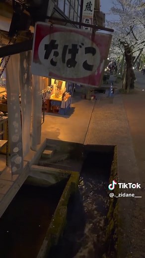 🌸岡山で体験する古き良き日本の春