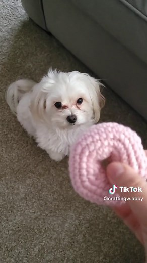 Creating Crochet Dog Toys for Your Furry Friend