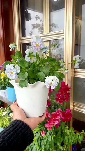 Sweet Flower Plants Home Garden 🪴🌼 You'll Get Inspired 🤯🌿#homedecor #gardening #plants #flowers #diy