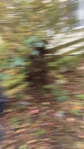 This day last year Protecting kids Scotland stung Ben Saleh on our behalf and they came under attack and threatened with a knife and acid. Ben managed to escape but was later caught up with by police. | Justice Reborn