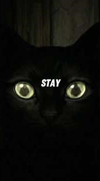 The Bakeneko Was Watching Them