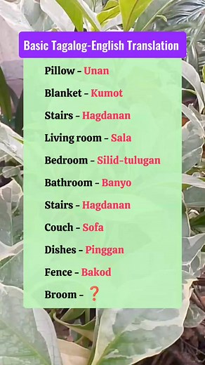 78K views · 983 reactions | Learn Basic English-Tagalog Translation #talogchallengebasic #tagalogchallengebasic #trendingreelsvideo #education #educational #englishteacher #EnglishFilipino | Janes Lessons | Facebook