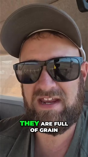 50K views · 614 reactions | Running a combine at the right speed is crucial for efficient harvesting. A combine runs best when it's full of grain, but poor corn quality can affect the process. Balancing speed and grain flow is key to maximizing output and minimizing waste. Try to keep the bushel flow around 3,500 to 4,000 bushels per hour. #harvesting #combine #corn #farming #agriculture | Brian's Farming Videos | Facebook