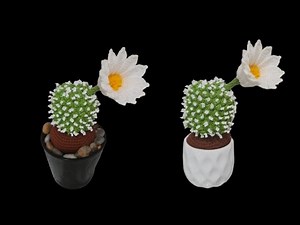 How to crochet Cactus/Succulent Plant
