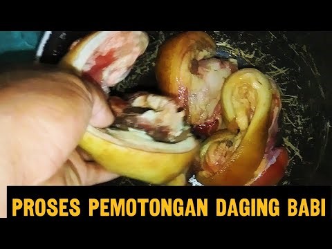 PEMOTONGAN BABI DENGAN PARANG YANG SUPER TAJAM😲😮‼️