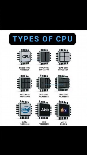 Types of CPU Explained | Single-Core to Apple Silicon | Network Educative