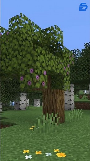 How to Find Lush Caves in Minecraft