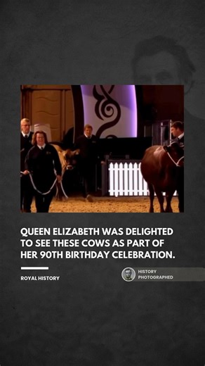 In May 2016, during the festivities marking Queen Elizabeth II’s 90th birthday at Windsor Castle, cameras caught an unexpectedly charming moment that later spread widely online. When a group of Jersey and Red Sussex cows was led into the arena as part of the celebration, the Queen’s face lit up with genuine excitement. She eagerly drew Prince Philip’s attention to them, blurting out “cows!” in a rare, unguarded display of joy. | History In Pictures