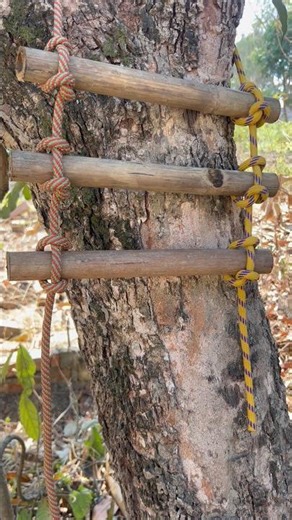 Sometimes we use this ladder