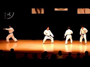 (Matsumura no) Seisan Kata Bunkai 「松村の」十三 型 分解 「少林流聖武館」